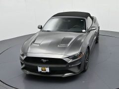 Used 2019  Ford Mustang 2d Convertible EcoBoost at Landmark Auto Credit Center near springfield&comma; IL