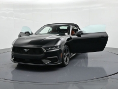 Used 2024  Ford Mustang EcoBoost Convertible at Landmark Auto Credit Center near springfield&comma; IL