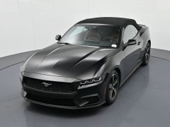 Used 2024  Ford Mustang EcoBoost Convertible at Landmark Auto Credit Center near springfield&comma; IL