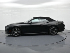 Used 2024  Ford Mustang EcoBoost Convertible at Landmark Auto Credit Center near springfield&comma; IL