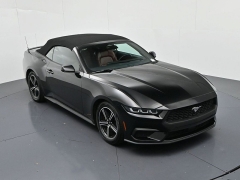 Used 2024  Ford Mustang EcoBoost Convertible at Landmark Auto Credit Center near springfield&comma; IL
