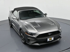 Used 2019  Ford Mustang 2d Convertible EcoBoost at Landmark Auto Credit Center near springfield&comma; IL