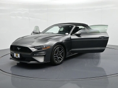 Used 2019  Ford Mustang 2d Convertible EcoBoost at Landmark Auto Credit Center near springfield&comma; IL