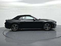 Used 2024  Ford Mustang EcoBoost Convertible at Landmark Auto Credit Center near springfield&comma; IL