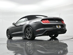 Used 2019  Ford Mustang 2d Convertible EcoBoost at Landmark Auto Credit Center near springfield&comma; IL