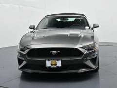 Used 2019  Ford Mustang 2d Convertible EcoBoost at Landmark Auto Credit Center near springfield&comma; IL