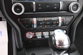 Used 2019  Ford Mustang 2d Convertible EcoBoost at Landmark Auto Credit Center near springfield&comma; IL