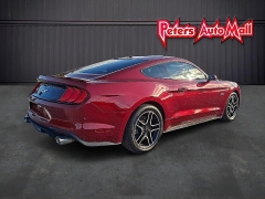 Used 2019  Ford Mustang 2d Fastback GT at Peters Auto Mall near High Point, NC