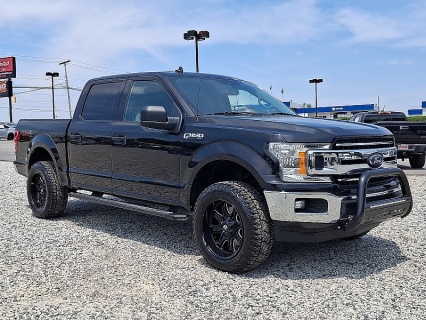 Used 2020 Ford F-150 4WD SuperCrew XLT 6 1/2 at Peters Auto Mall near High Point, NC