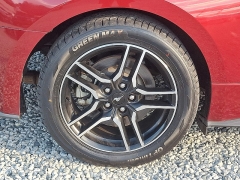 Used 2019 Ford Mustang 2d Fastback GT at Peters Auto Mall near High Point, NC