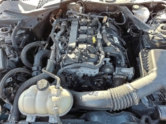 Used 2023  Ford Mustang EcoBoost Convertible at Peters Auto Mall near High Point, NC