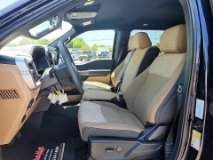 Used 2023 Ford F-150 2WD XLT SuperCrew 5.5' Box at Peters Auto Mall near High Point, NC