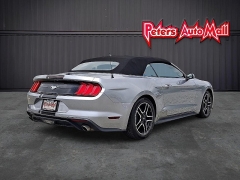 Used 2023  Ford Mustang EcoBoost Convertible at Peters Auto Mall near High Point&comma; NC