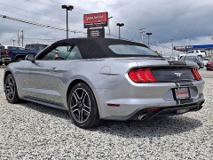 Used 2023  Ford Mustang EcoBoost Convertible at Peters Auto Mall near High Point&comma; NC