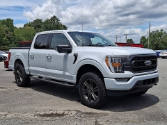 2022 Ford F-150 4WD XLT SuperCrew 5.5' Box at Peters Auto Mall near High Point, NC