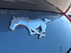 Used 2024  Ford Mustang EcoBoost Fastback at Peters Auto Mall near High Point&comma; NC