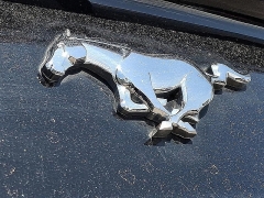 Used 2021  Ford Mustang EcoBoost Fastback at Peters Auto Mall near High Point&comma; NC