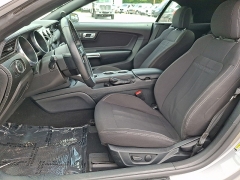 Used 2023  Ford Mustang EcoBoost Convertible at Peters Auto Mall near High Point&comma; NC
