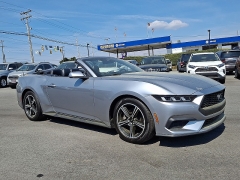  2024 Ford Mustang EcoBoost Convertible at Peters Auto Mall near High Point, NC