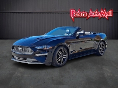 Used 2023  Ford Mustang EcoBoost Convertible at Peters Auto Mall near High Point, NC
