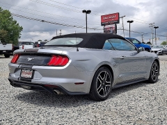 Used 2023  Ford Mustang EcoBoost Convertible at Peters Auto Mall near High Point&comma; NC