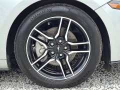 Used 2023  Ford Mustang EcoBoost Convertible at Peters Auto Mall near High Point&comma; NC