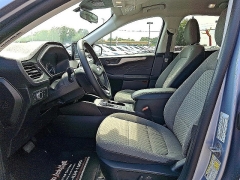 Used 2022  Ford Escape SE Hybrid FWD at Peters Auto Mall near High Point, NC