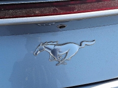 Used 2024  Ford Mustang EcoBoost Convertible at Peters Auto Mall near High Point&comma; NC