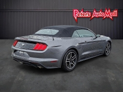 Used 2022  Ford Mustang EcoBoost Convertible at Peters Auto Mall near High Point&comma; NC