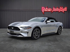Used 2023  Ford Mustang EcoBoost Convertible at Peters Auto Mall near High Point&comma; NC