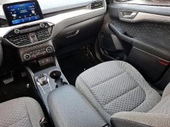 Used 2020  Ford Escape 4d SUV FWD SE at Peters Auto Mall near High Point&comma; NC