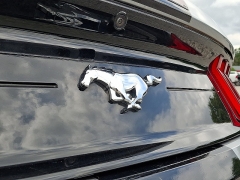 Used 2023  Ford Mustang EcoBoost Convertible at Peters Auto Mall near High Point&comma; NC