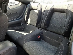 Used 2024  Ford Mustang GT Fastback at Peters Auto Mall near High Point&comma; NC