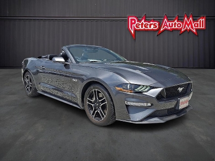 2019 Ford Mustang GT Premium's photo