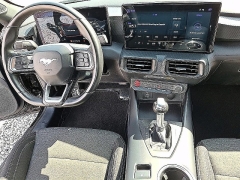 Used 2024  Ford Mustang GT Fastback at Peters Auto Mall near High Point&comma; NC