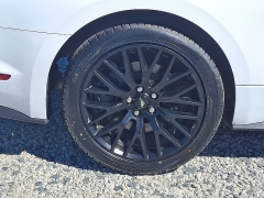 Used 2020 Ford Mustang 2d Fastback GT at Peters Auto Mall near High Point, NC