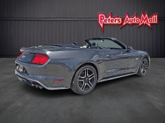 Used 2019 Ford Mustang 2d Convertible GT Premium at Peters Auto Mall near High Point, NC