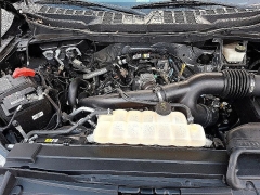 Used 2022  Ford F-150 4WD XLT SuperCrew 5&period;5' Box at Peters Auto Mall near High Point&comma; NC