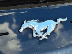 Used 2023 Ford Mustang EcoBoost Premium Fastback at Peters Auto Mall near High Point, NC