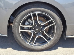 Used 2023 Ford Mustang EcoBoost Premium Fastback at Peters Auto Mall near High Point, NC
