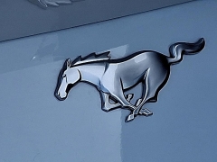 Used 2024  Ford Mustang EcoBoost Fastback at Peters Auto Mall near High Point&comma; NC