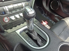Used 2019 Ford Mustang 2d Convertible GT Premium at Peters Auto Mall near High Point, NC