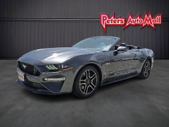 Used 2019 Ford Mustang 2d Convertible GT Premium at Peters Auto Mall near High Point, NC