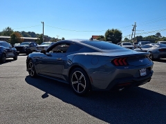 Used 2024  Ford Mustang EcoBoost Fastback at Peters Auto Mall near High Point&comma; NC