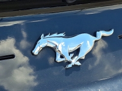 Used 2023 Ford Mustang EcoBoost Premium Fastback at Peters Auto Mall near High Point, NC