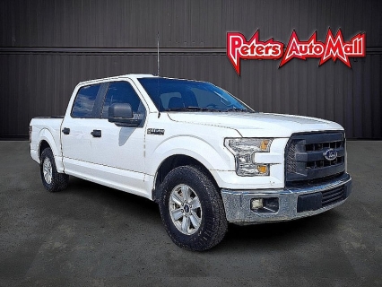 2017 Ford F-150 XL's photo