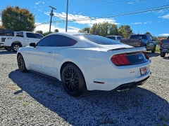 Used 2020 Ford Mustang 2d Fastback GT at Peters Auto Mall near High Point, NC