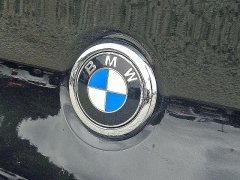 Used 2020 BMW X4 M Competition Sports Activity Coupe at Peters Auto Mall near High Point, NC