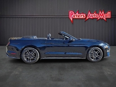 Used 2023  Ford Mustang EcoBoost Convertible at Peters Auto Mall near High Point, NC