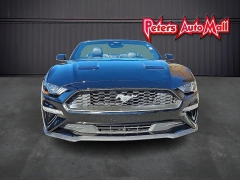 Used 2023  Ford Mustang EcoBoost Convertible at Peters Auto Mall near High Point, NC